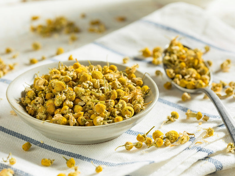 Chamomile Tea for Calming Relaxation and Better Sleep - THE SPICE & TEA SHOPPE