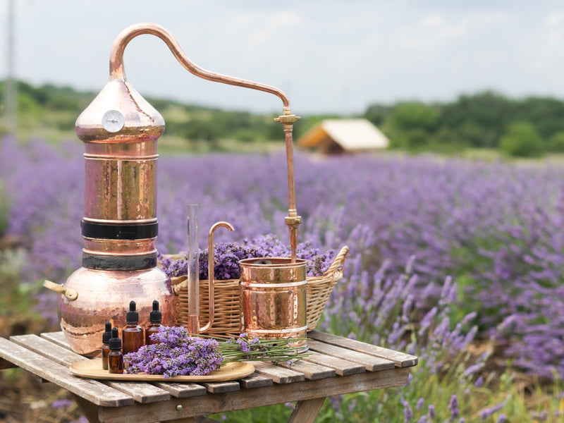 Orange Blossom, Rose and Lavender Floral Waters:  Enhancing Culinary Delights - THE SPICE & TEA SHOPPE