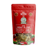 Chile Lime Dip Mix