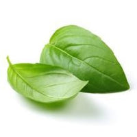 Gourmet Foods - Basil Extra Virgin Olive Oil - THE SPICE & TEA SHOPPE