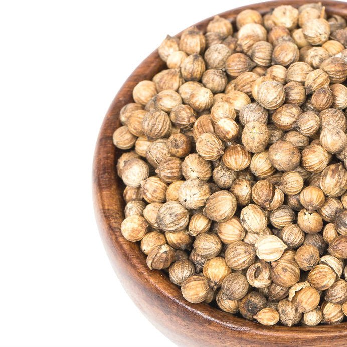 Herbs & Spices - Coriander Whole - THE SPICE & TEA SHOPPE