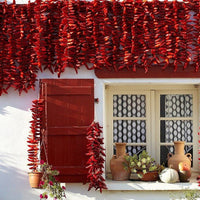 Chile Peppers - French Piment D’Espelette - THE SPICE & TEA SHOPPE
