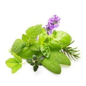 Gourmet Foods - Herbs de Provence Extra Virgin Olive Oil - THE SPICE & TEA SHOPPE