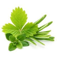Gourmet Foods - Tuscan Herb Extra Virgin Olive Oil - THE SPICE & TEA SHOPPE