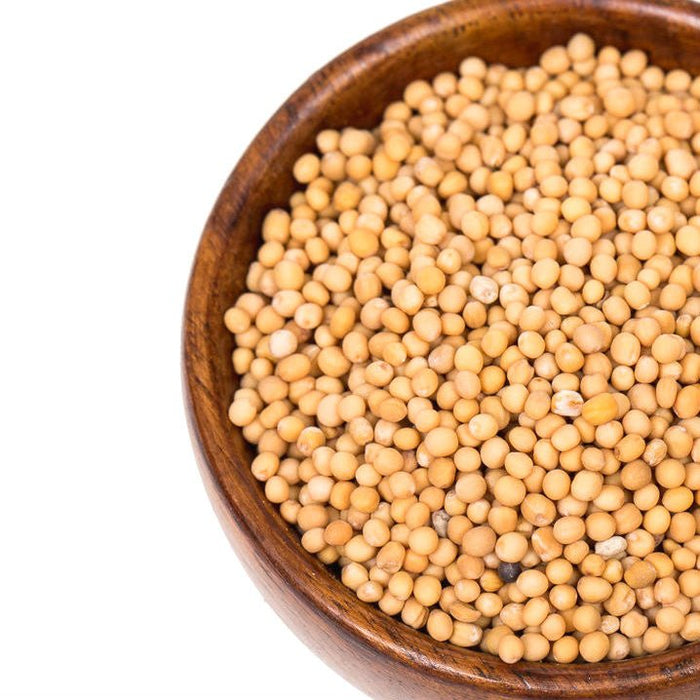 Herbs & Spices - Yellow Mustard Seeds - THE SPICE & TEA SHOPPE